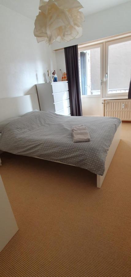 אוסטנדה Cosy Apartment Near The Beach And City Center מראה חיצוני תמונה
